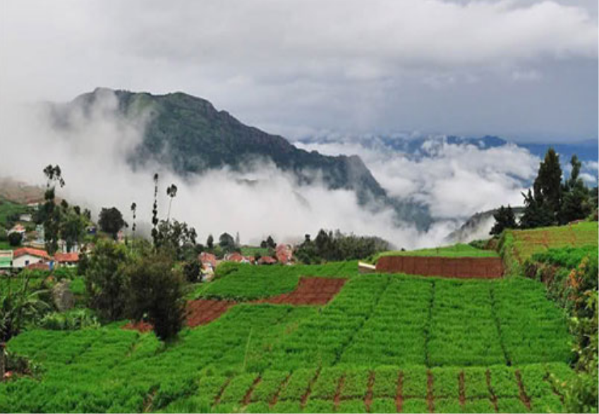 Ooty and Coorg – Vacations365